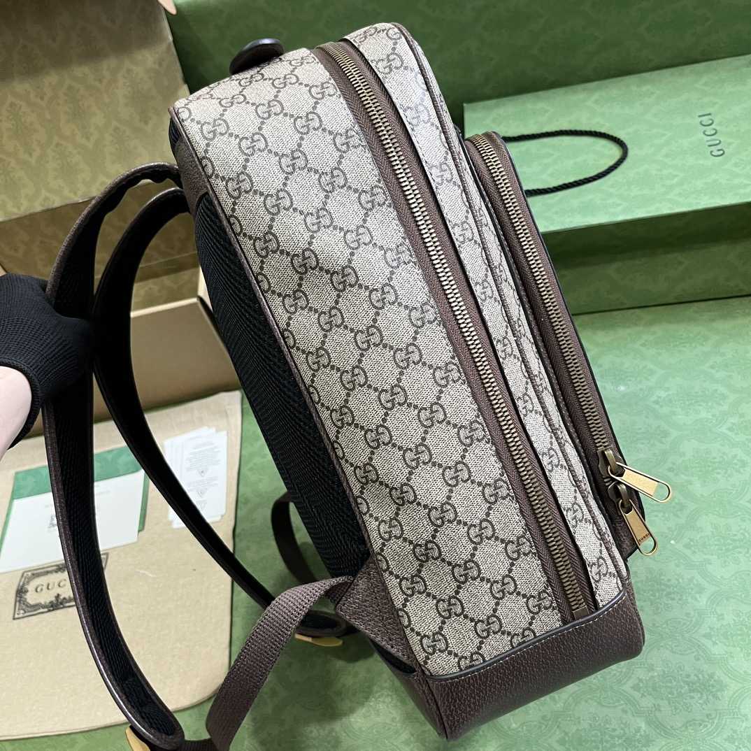 Gucci Ophidia GG Medium Backpack (40-30-14cm) - DesignerGu