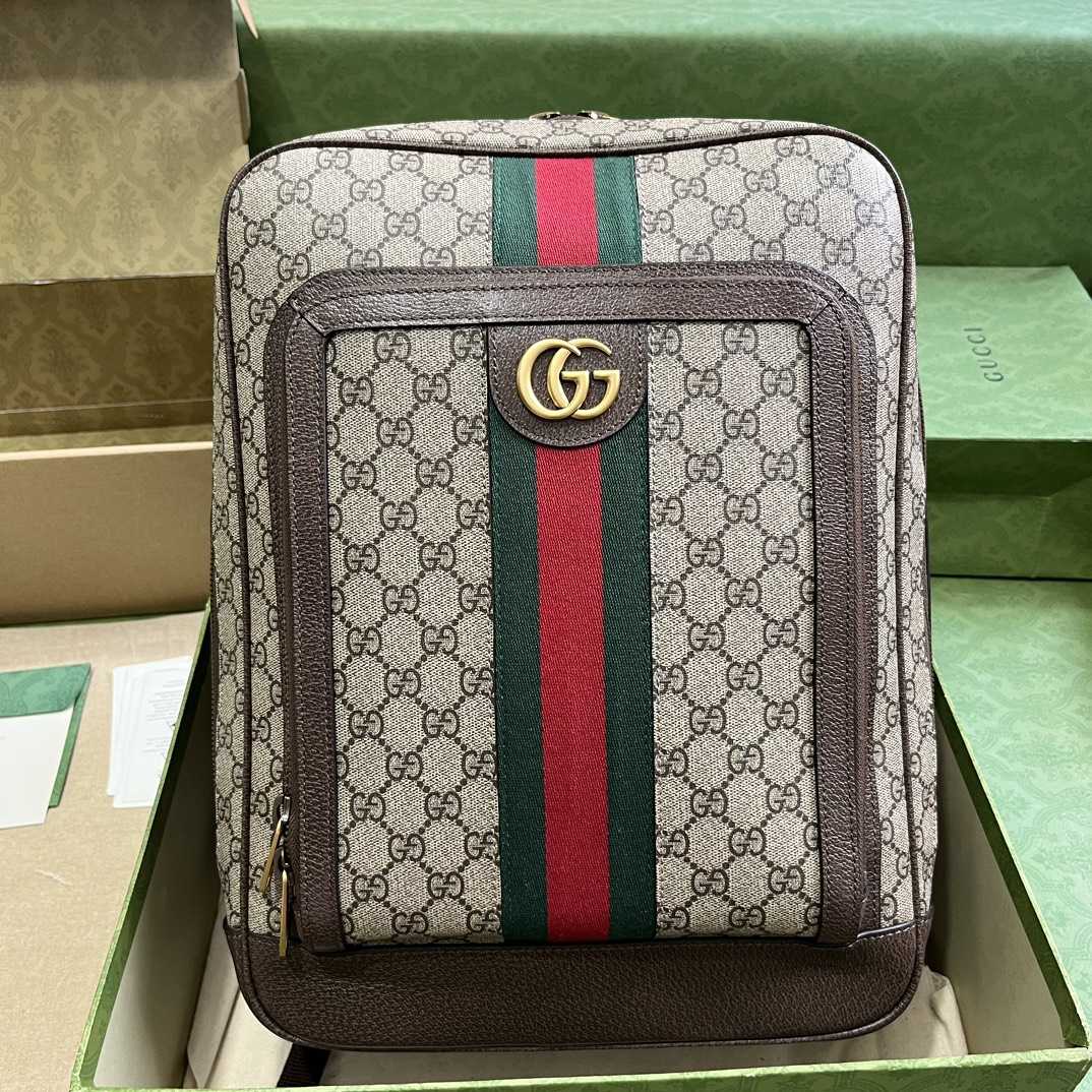 Gucci Ophidia GG Medium Backpack (40-30-14cm) - DesignerGu