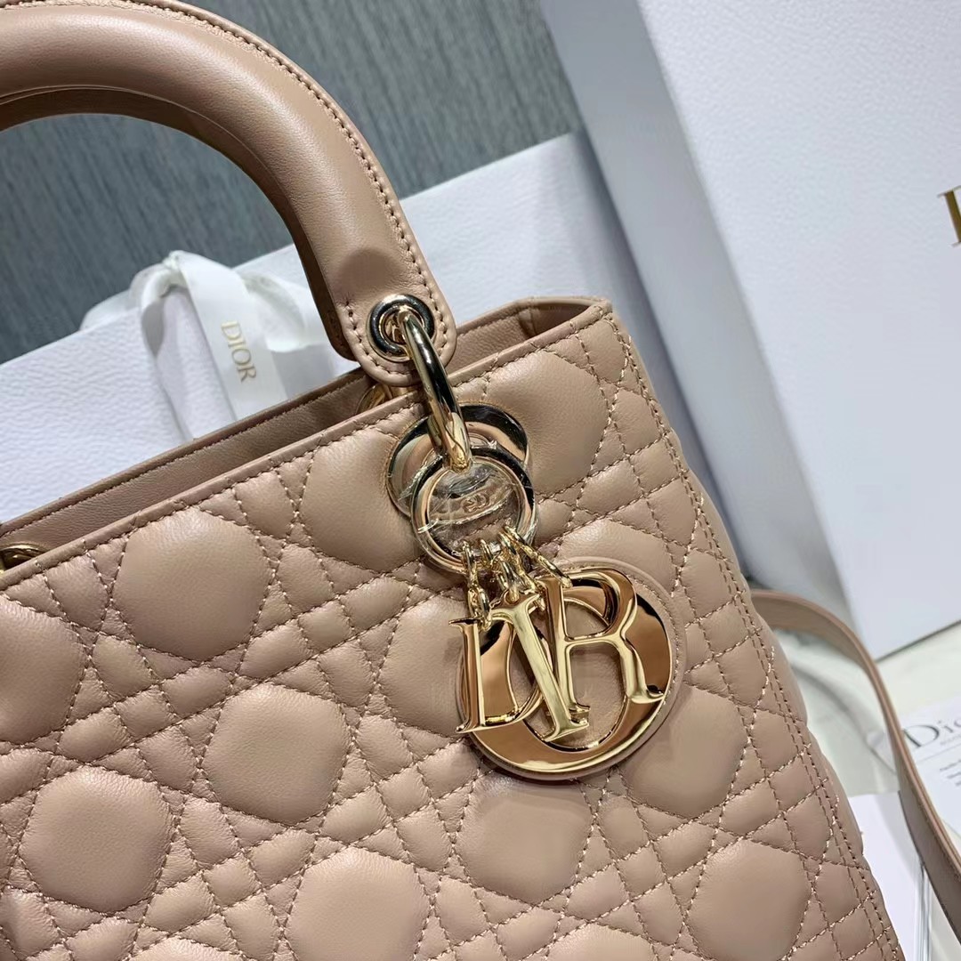 DiorLady Dior Bag  20cm - DesignerGu