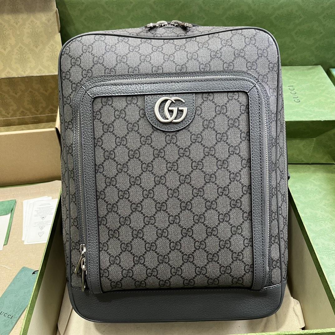 Gucci Ophidia GG Medium Backpack (40-30-14cm) - DesignerGu