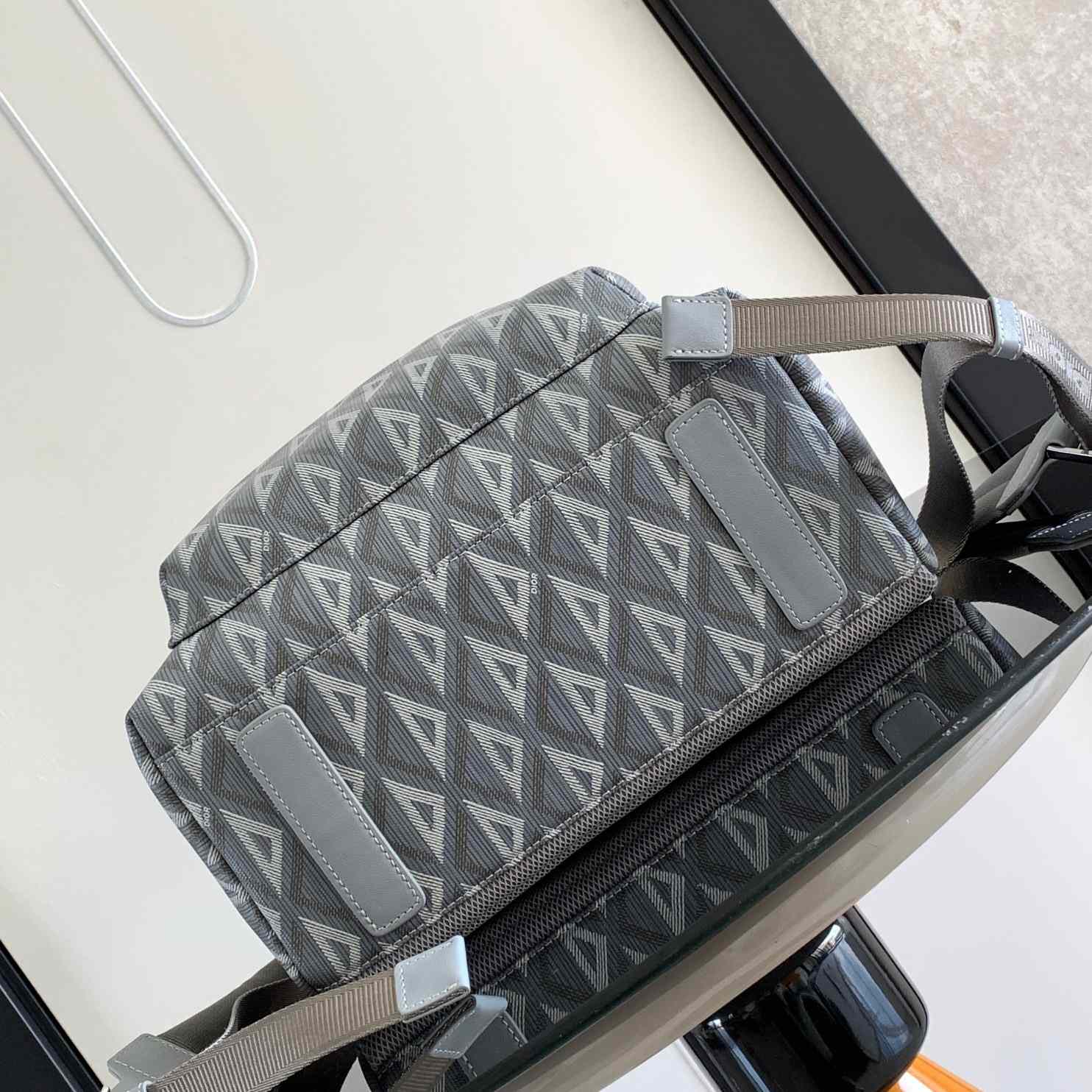 Dior Rider Backpack  - DesignerGu