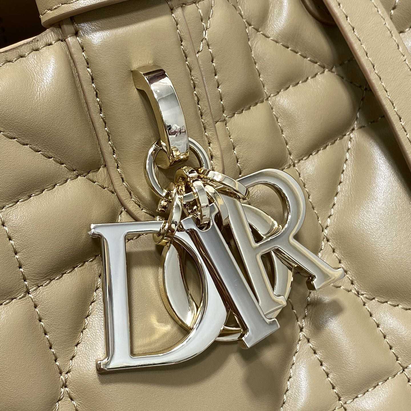 Dior Medium Dior Toujours Bag - DesignerGu