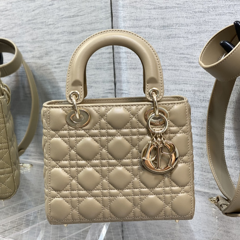 Dior Medium Lady Dior Bag - DesignerGu