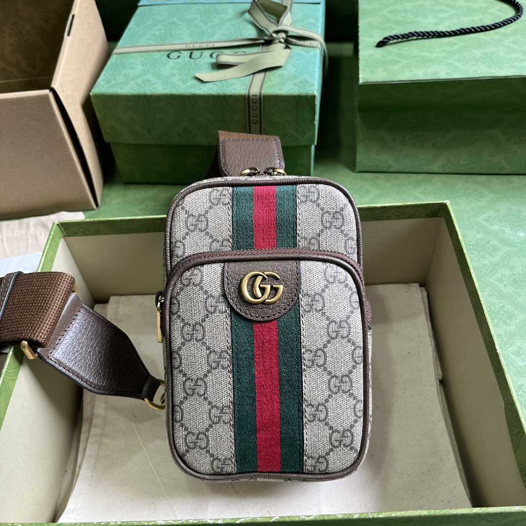 Gucci Ophidia GG Mini Bag (12x 18x 6.9cm) - DesignerGu