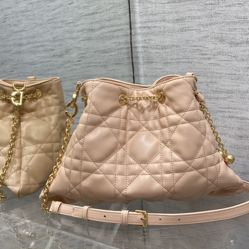 Dior Medium Dior Ammi Bag - DesignerGu