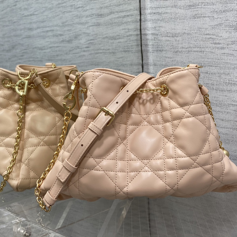 Dior Medium Dior Ammi Bag - DesignerGu