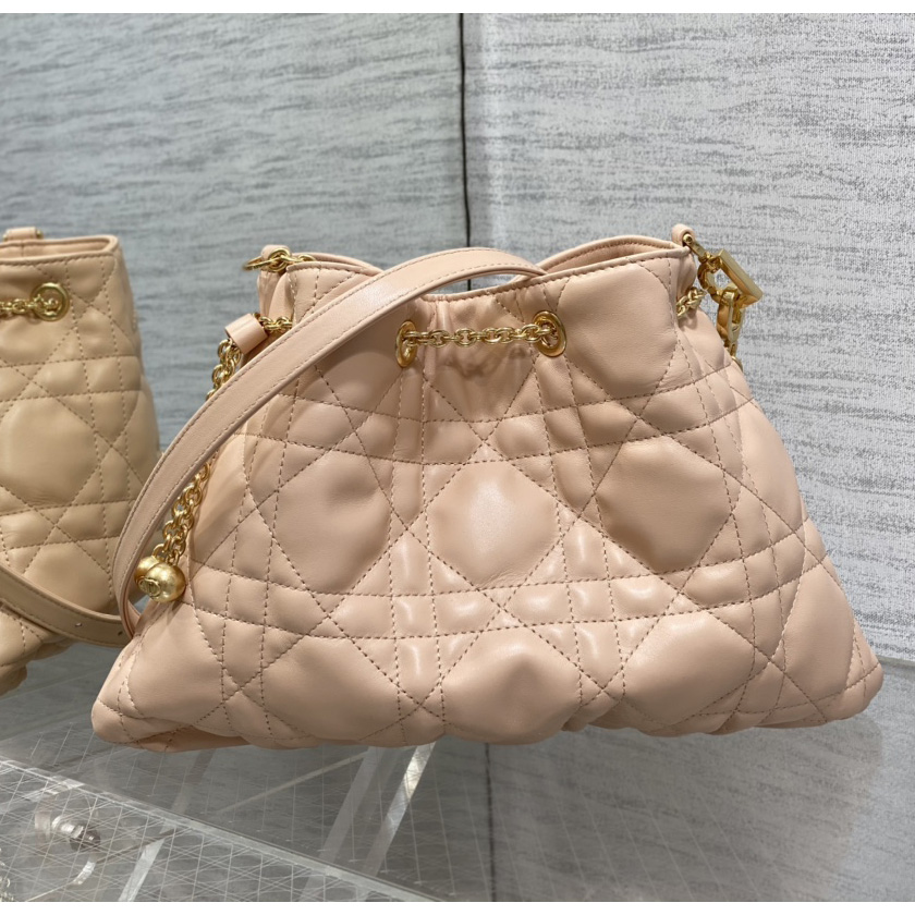 Dior Medium Dior Ammi Bag - DesignerGu