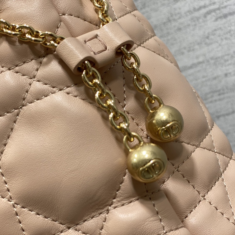 Dior Medium Dior Ammi Bag - DesignerGu