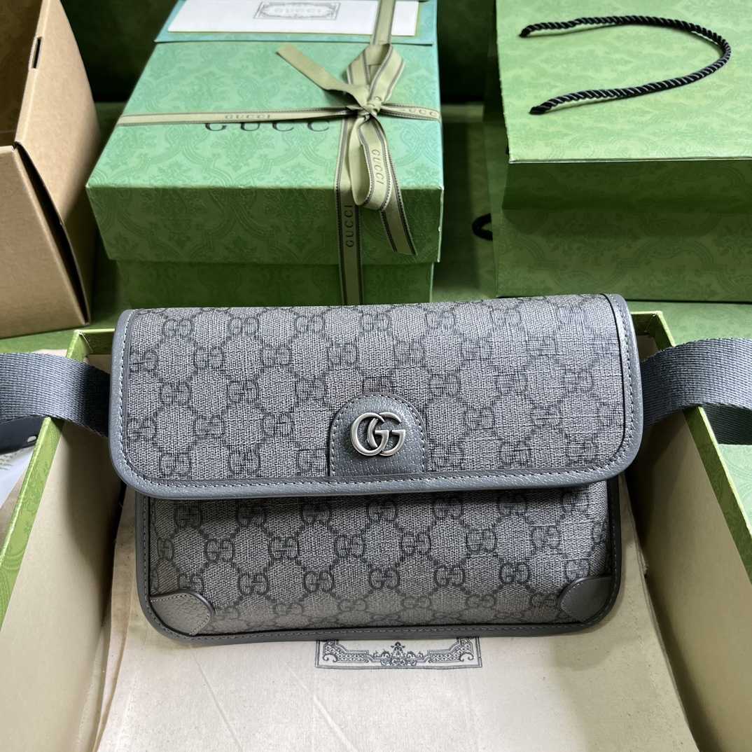 Gucci Ophidia GG Small Belt Bag - DesignerGu