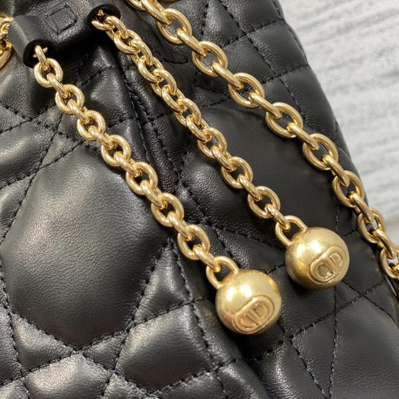 Dior Medium Dior Ammi Bag - DesignerGu