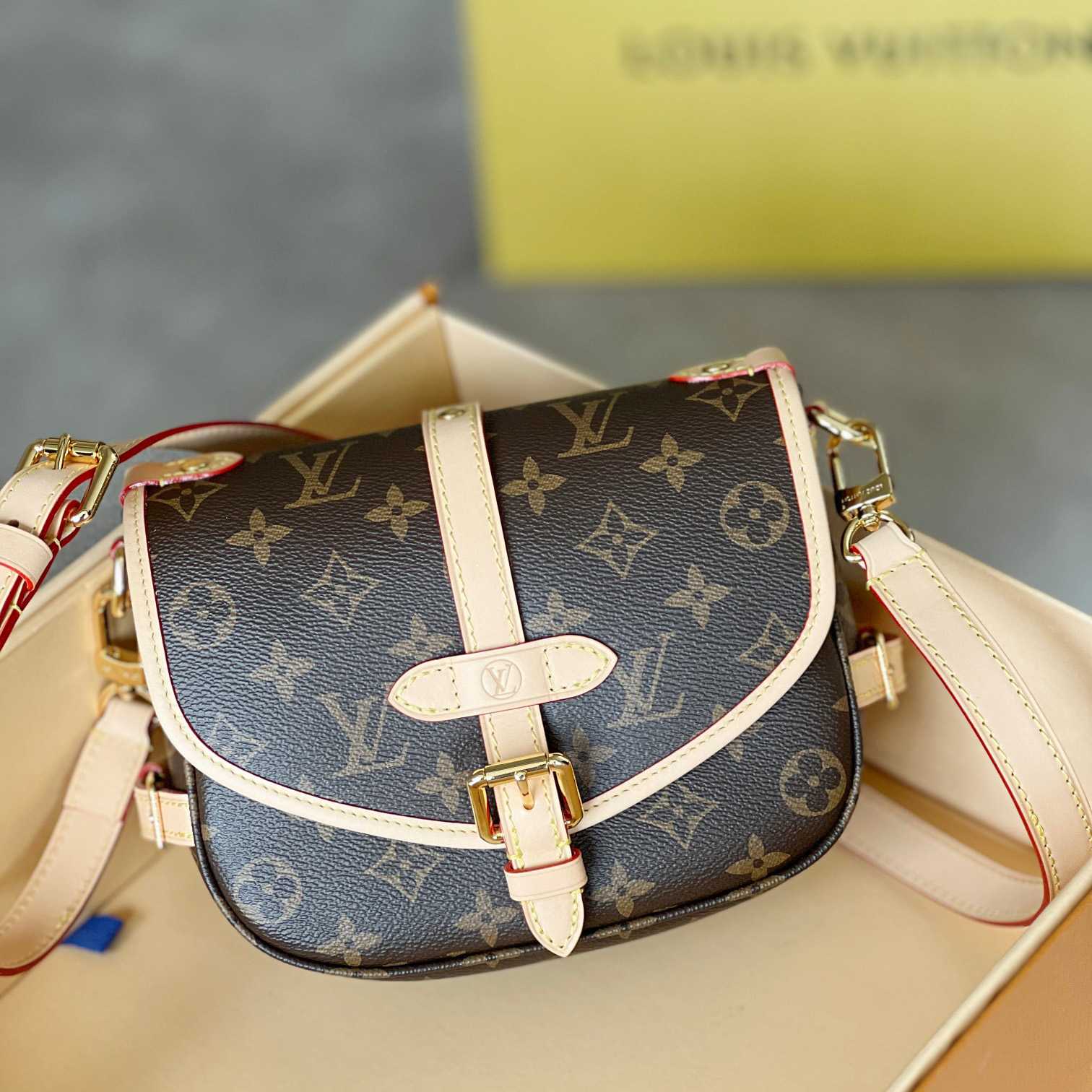 Louis Vuitton Saumur BB (20x15x7.5cm)   M46740 - DesignerGu