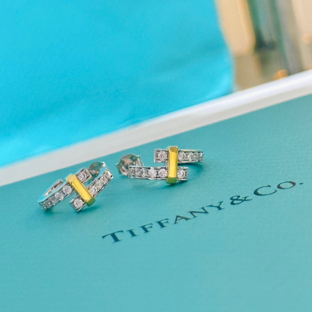 Tiffany&CO Hoop Earrings - DesignerGu