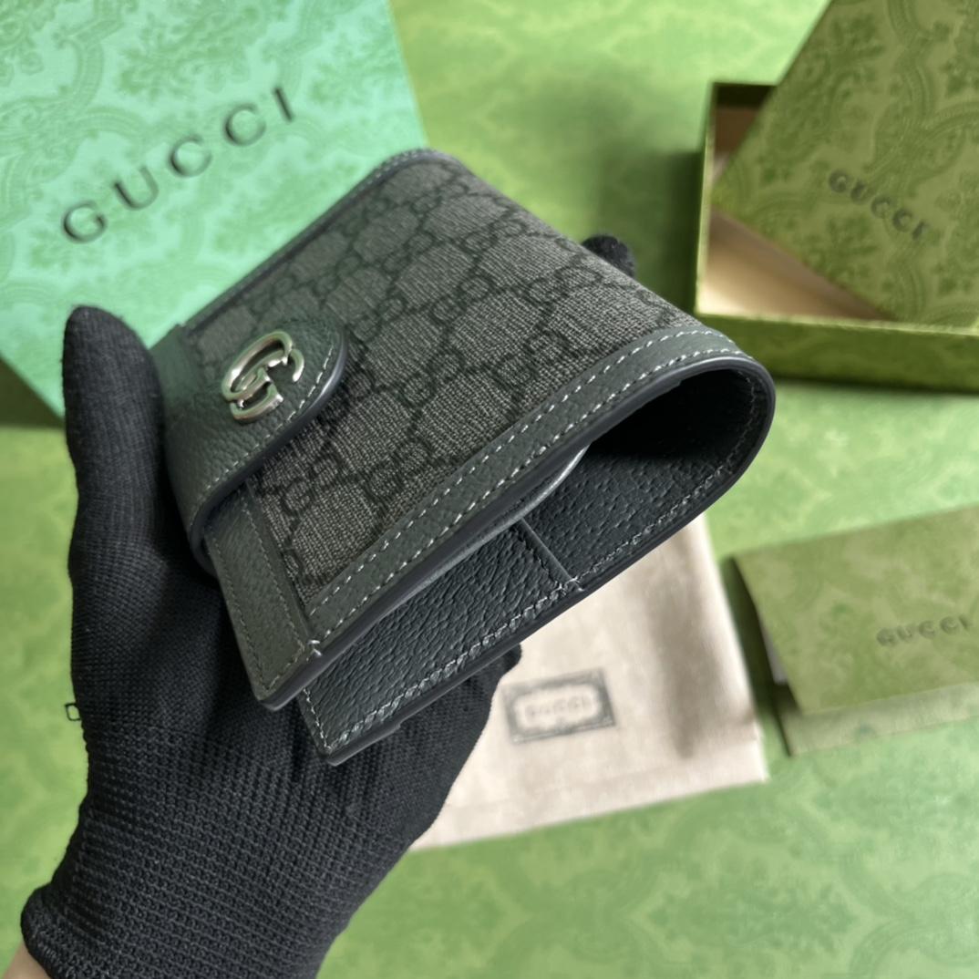 Gucci Ophidia Passport Case - DesignerGu