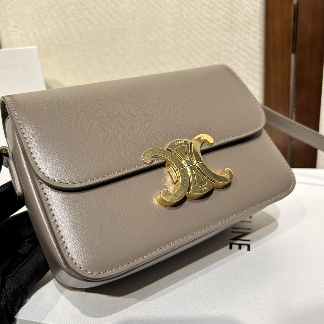 Celine Teen Triomphe Bag In Shiny Calfskin - DesignerGu