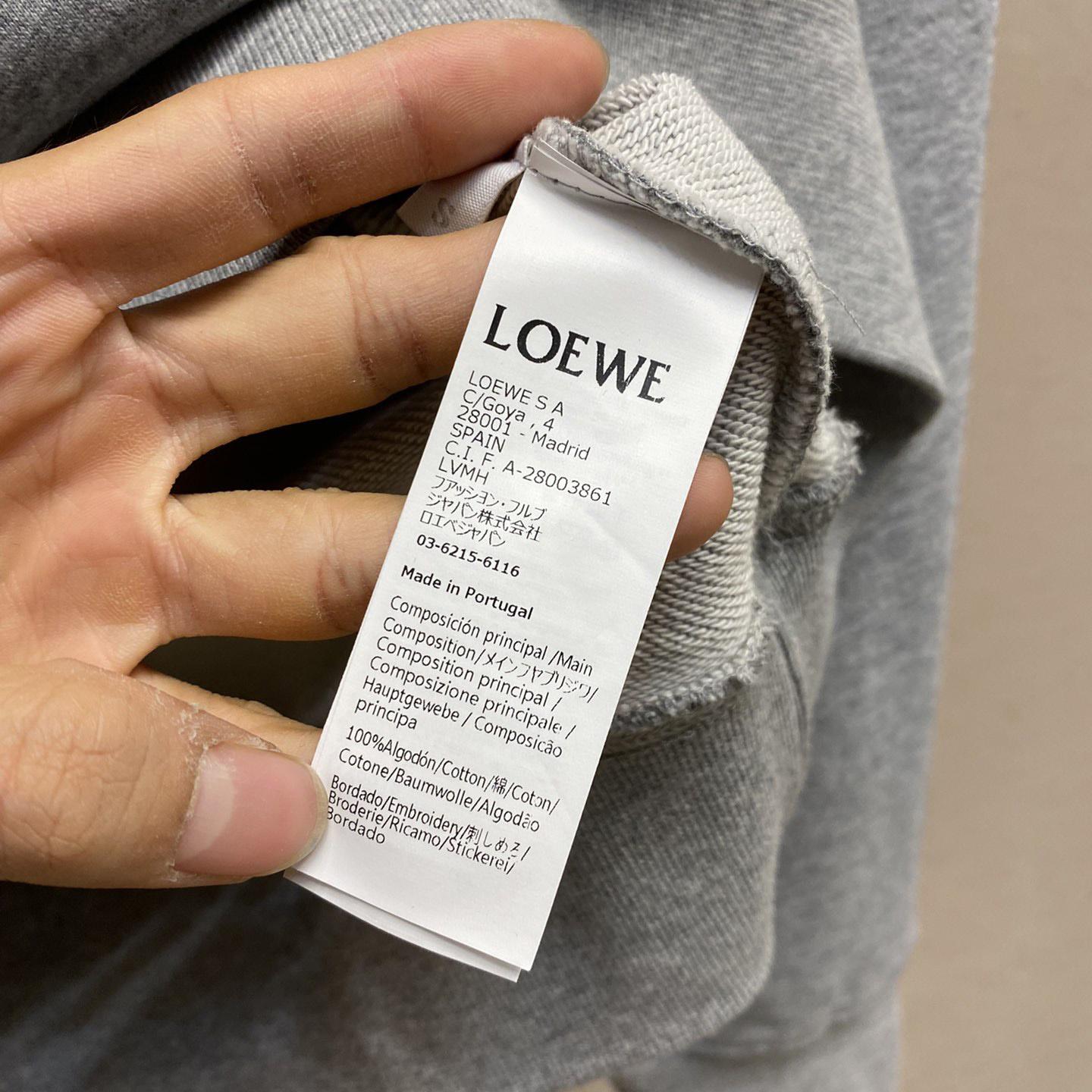 Loewe Anagram Flowers Hoodie In Cotton - DesignerGu