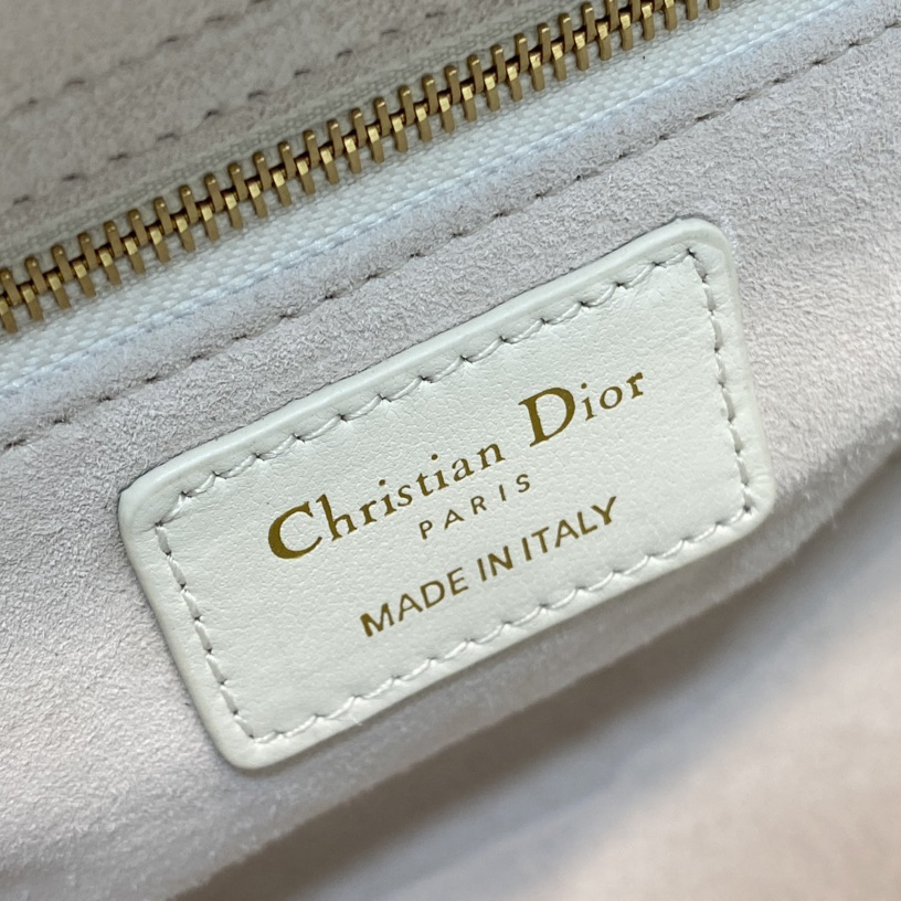 Dior Medium Lady Dior Bag - DesignerGu