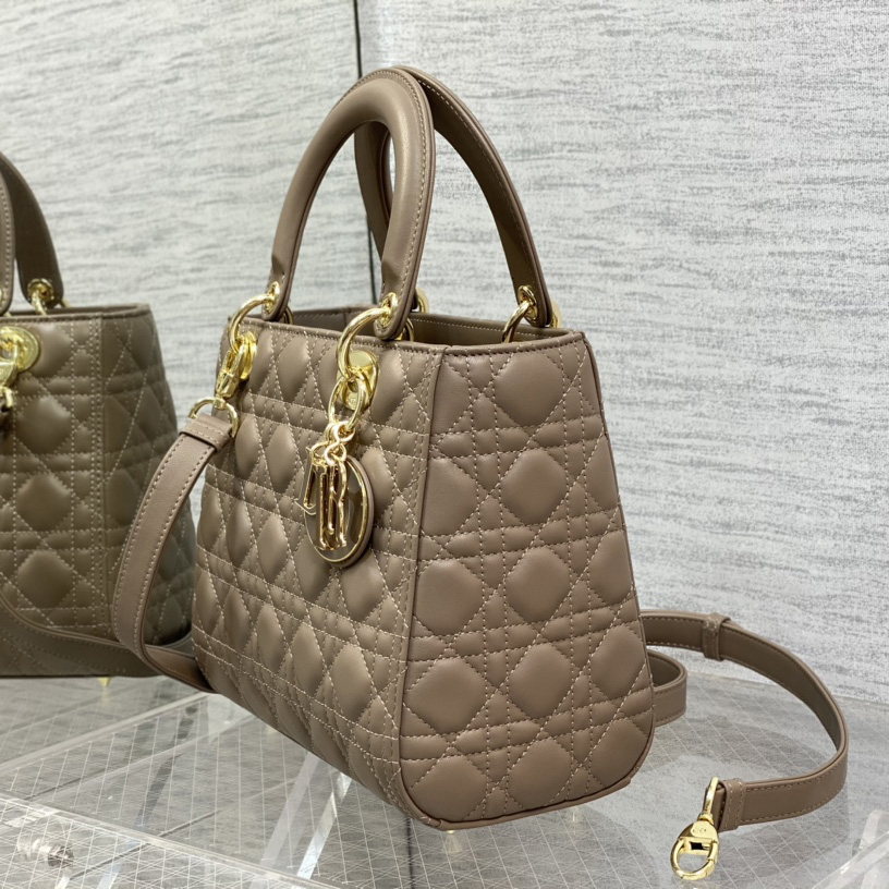 Dior Medium Lady Dior Bag - DesignerGu