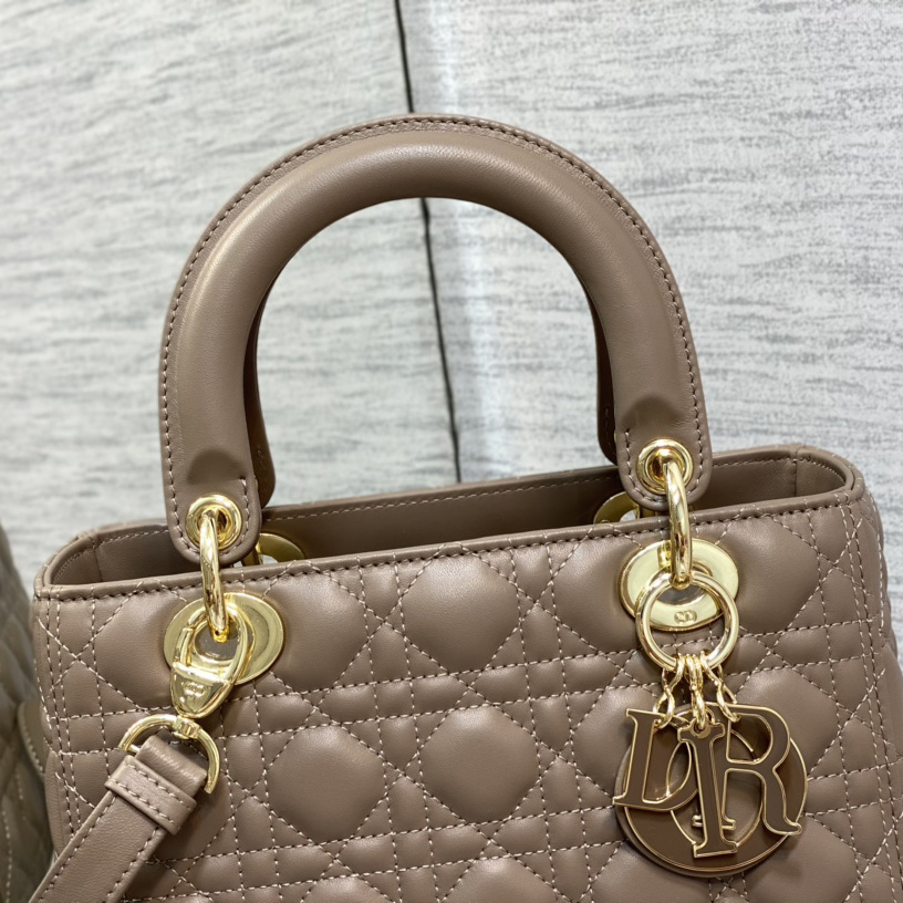 Dior Medium Lady Dior Bag - DesignerGu