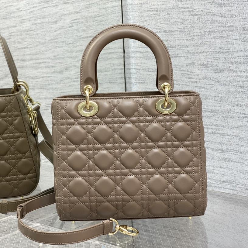 Dior Medium Lady Dior Bag - DesignerGu