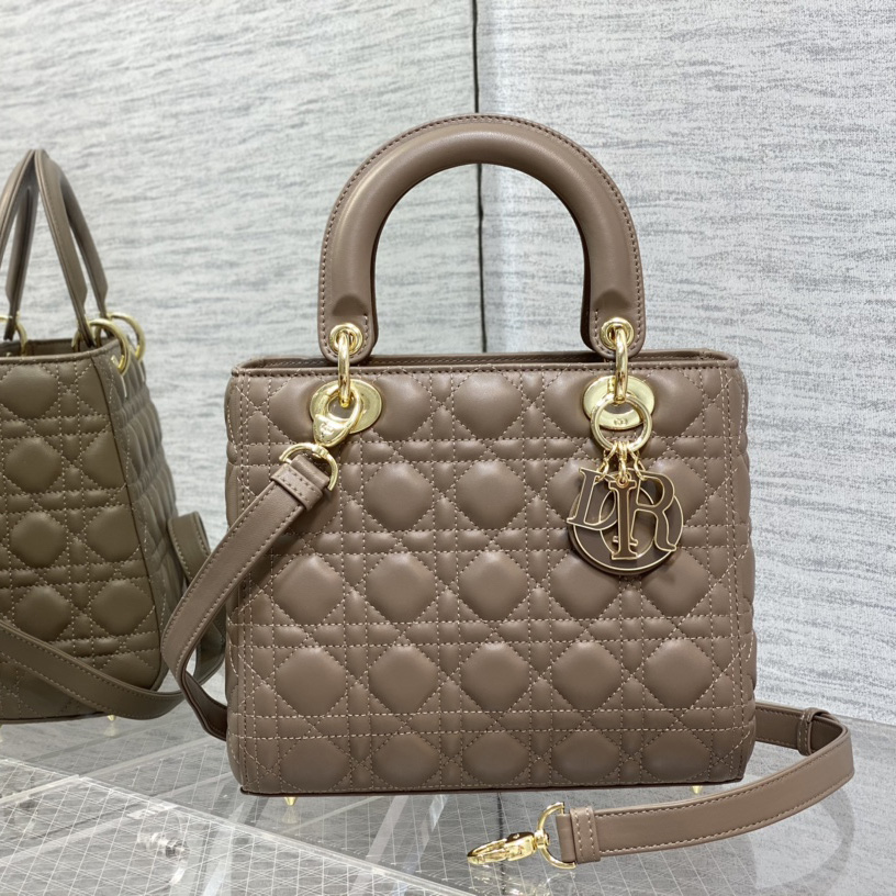 Dior Medium Lady Dior Bag - DesignerGu