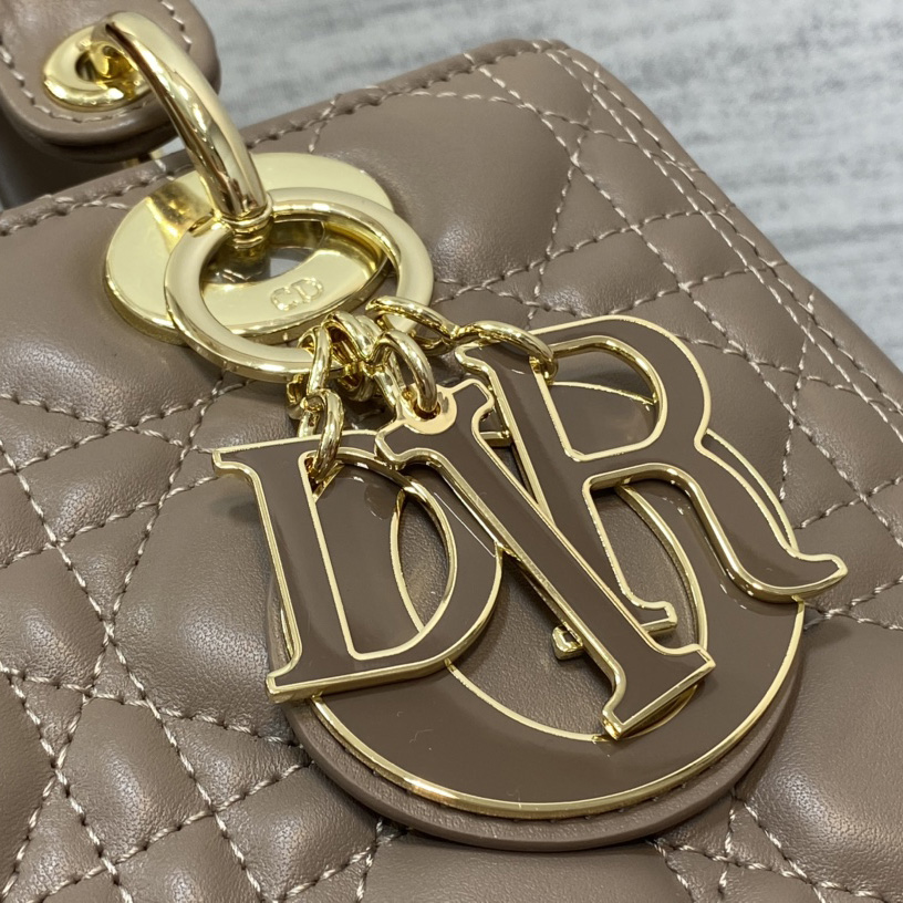 Dior Medium Lady Dior Bag - DesignerGu