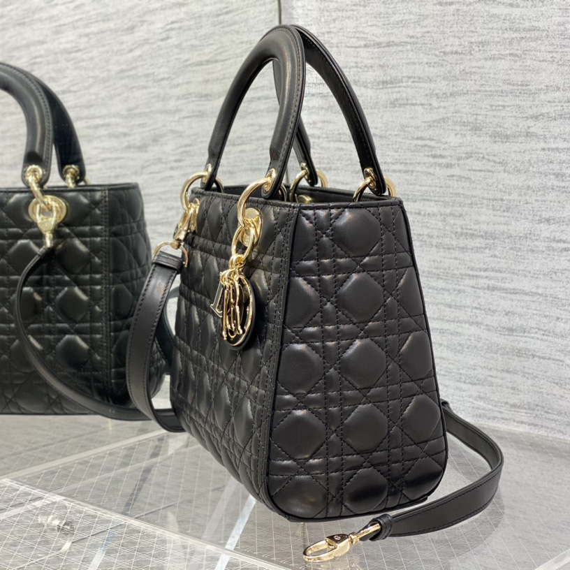 Dior Medium Lady Dior Bag - DesignerGu