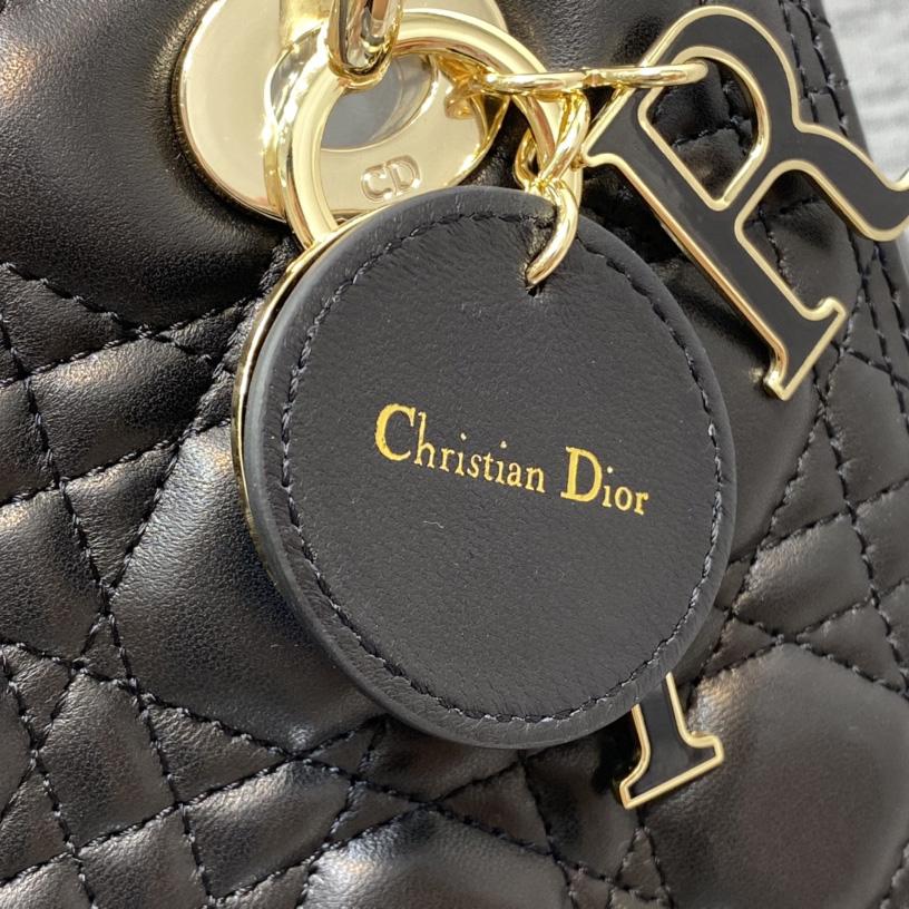 Dior Medium Lady Dior Bag - DesignerGu