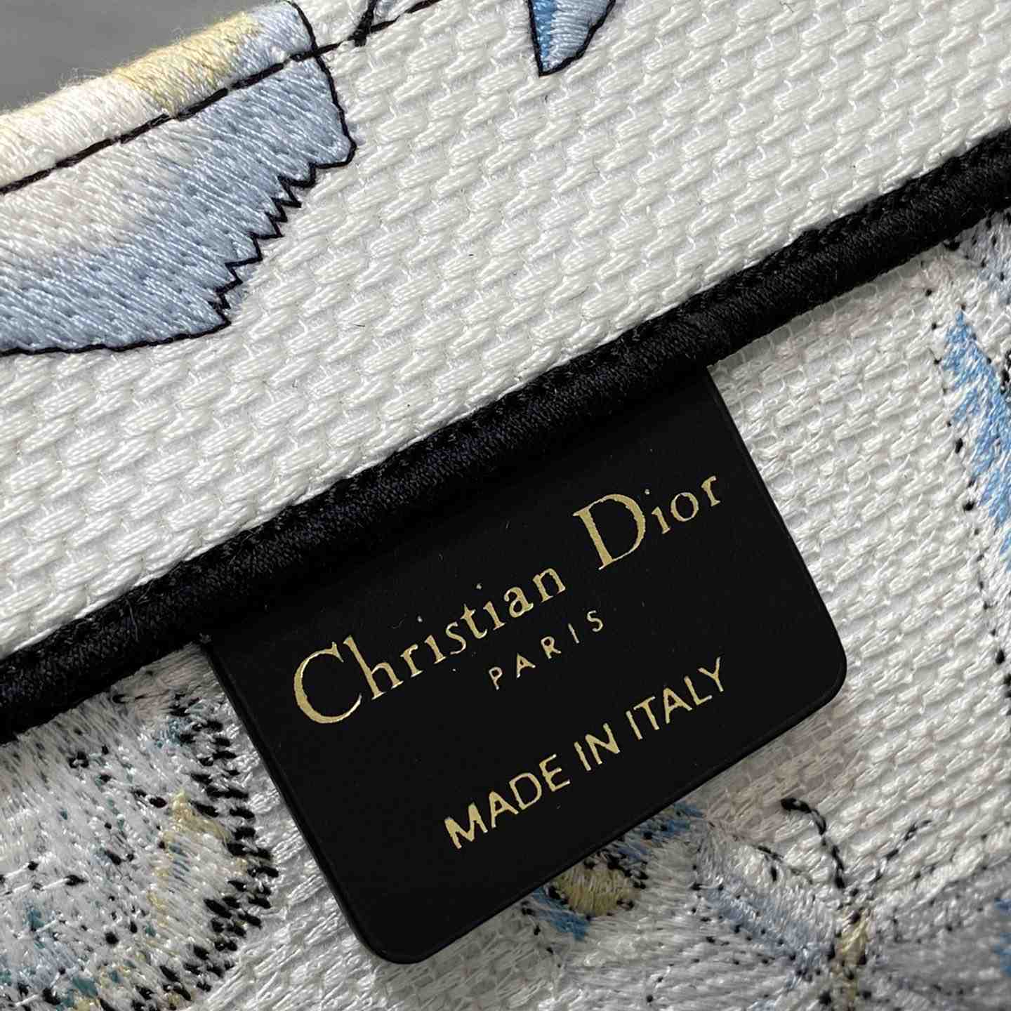 Dior Large Dior Book Tote - DesignerGu