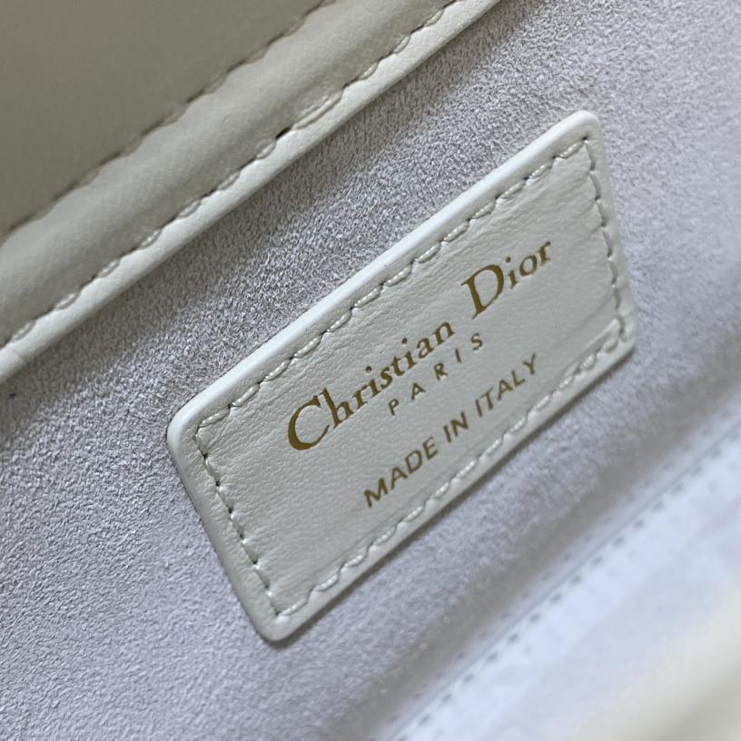 Dior Medium Lady D-Joy Bag - DesignerGu