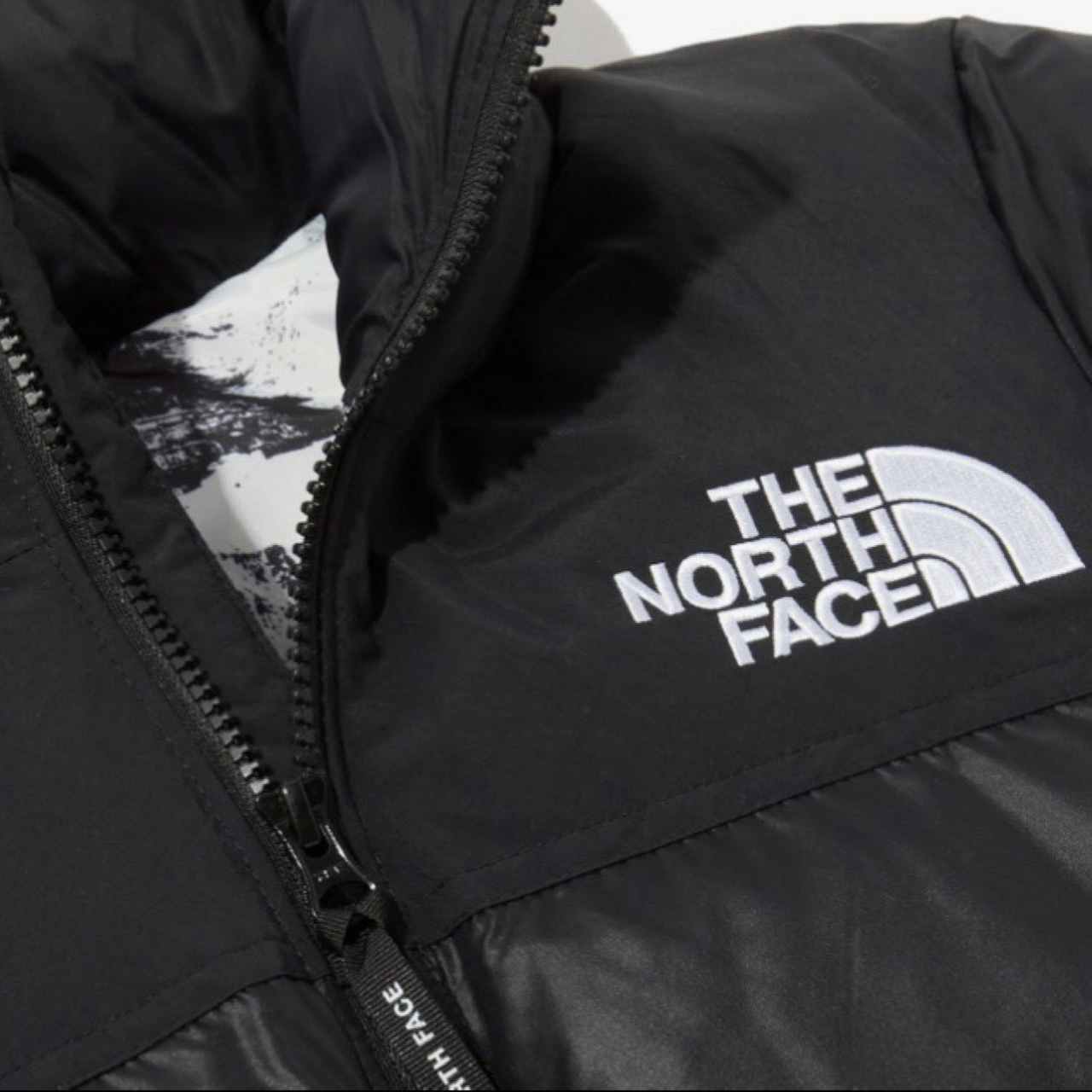 The North Face 1996 Retro Nuptse Jacket - DesignerGu