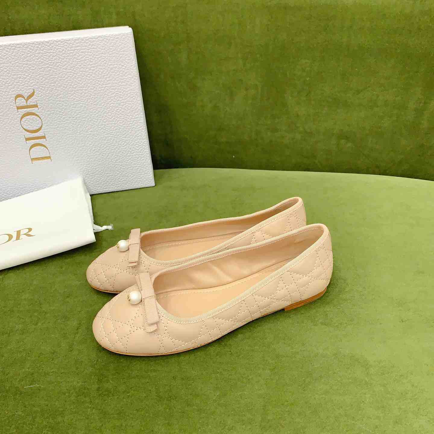 Dior Ballet Flat  - DesignerGu