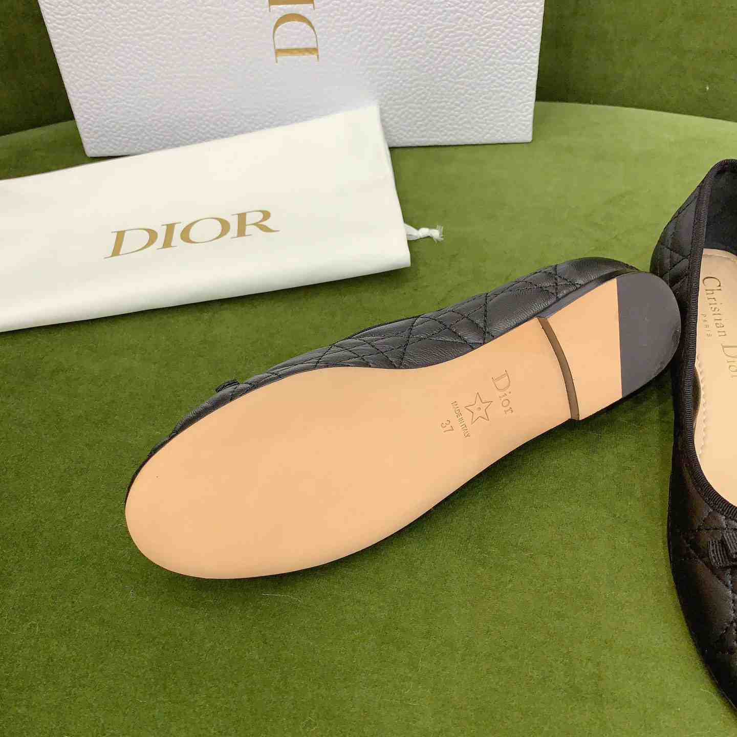 Dior Ballet Flat  - DesignerGu