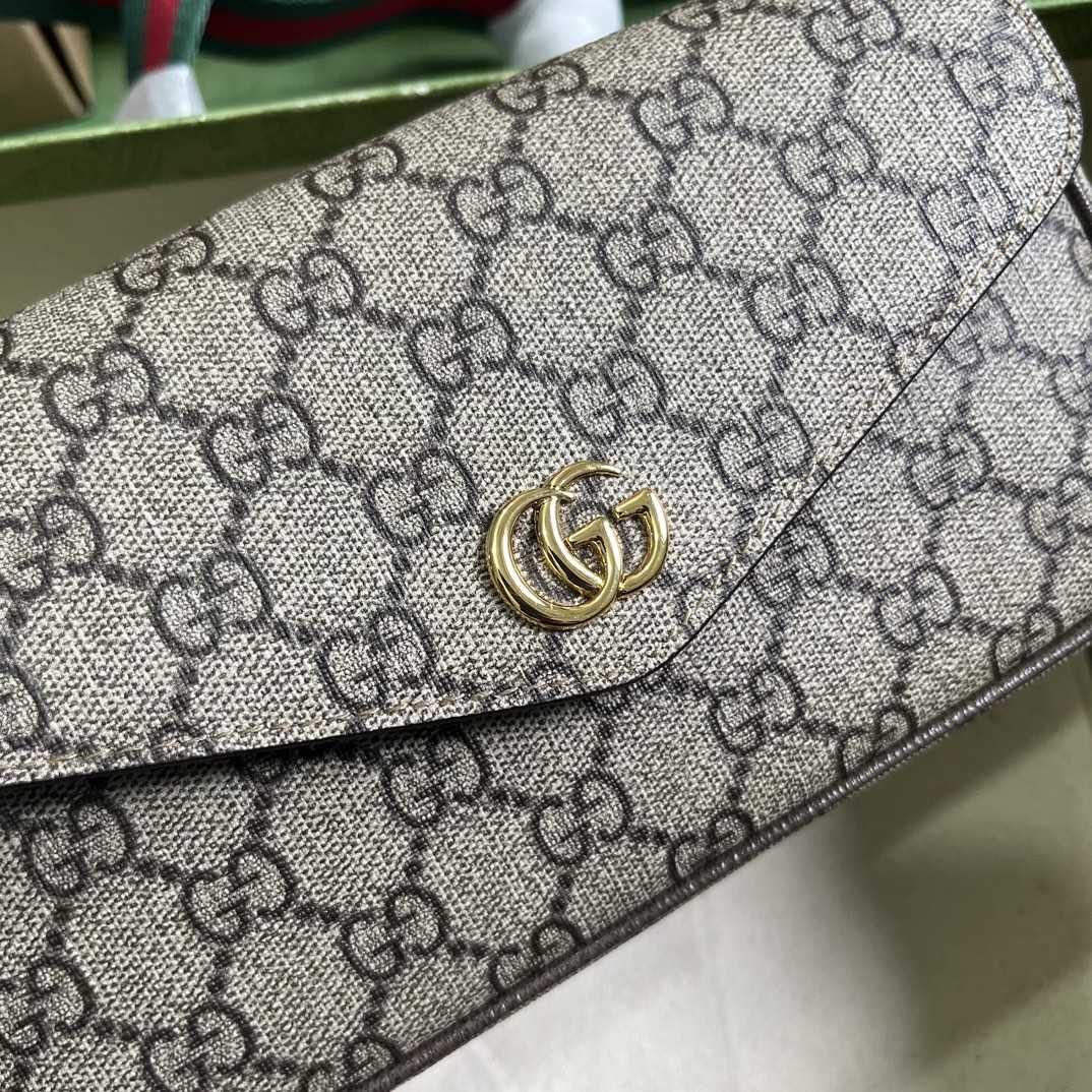 Gucci Ophidia Mini Bag  - DesignerGu