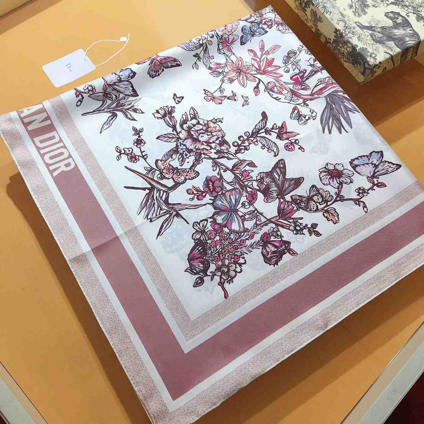 Dior Toile De Jouy Mexico 90 Square Scarf - DesignerGu