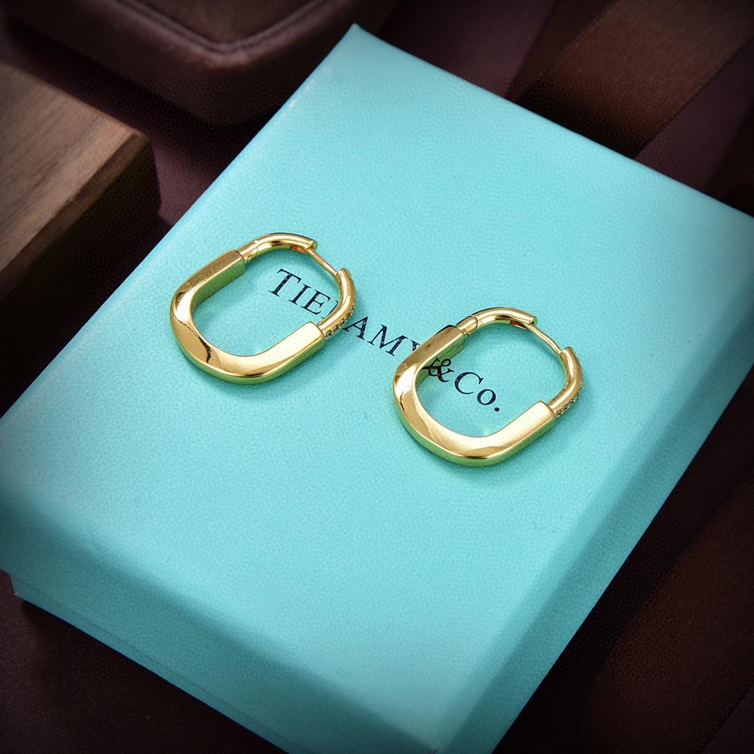 Tiffany&CO Earrings - DesignerGu