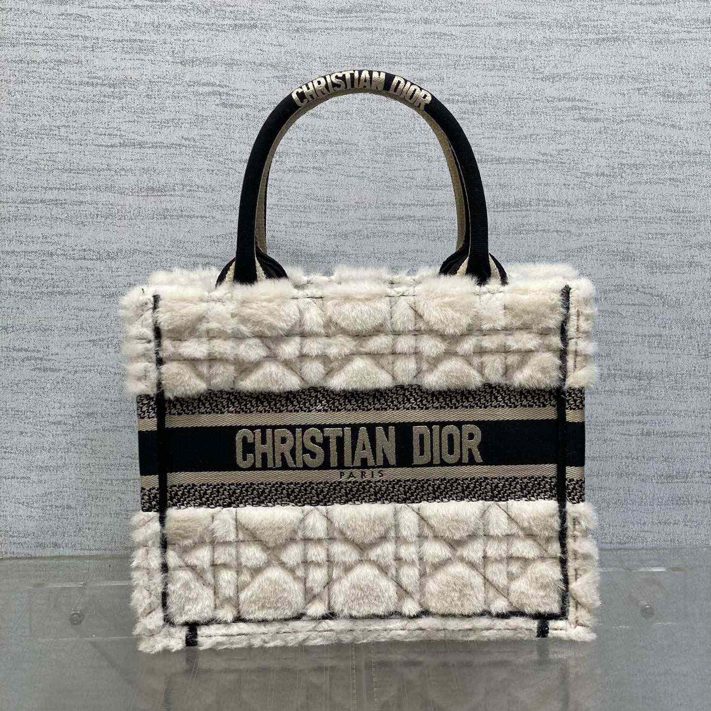 Dior Small Dior Book Tote - DesignerGu