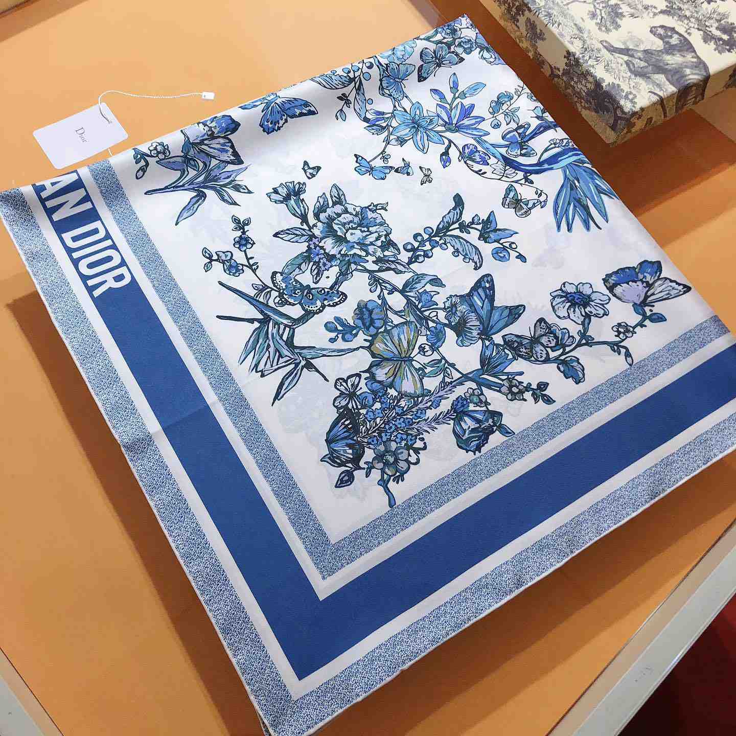 Dior Toile De Jouy Mexico 90 Square Scarf - DesignerGu