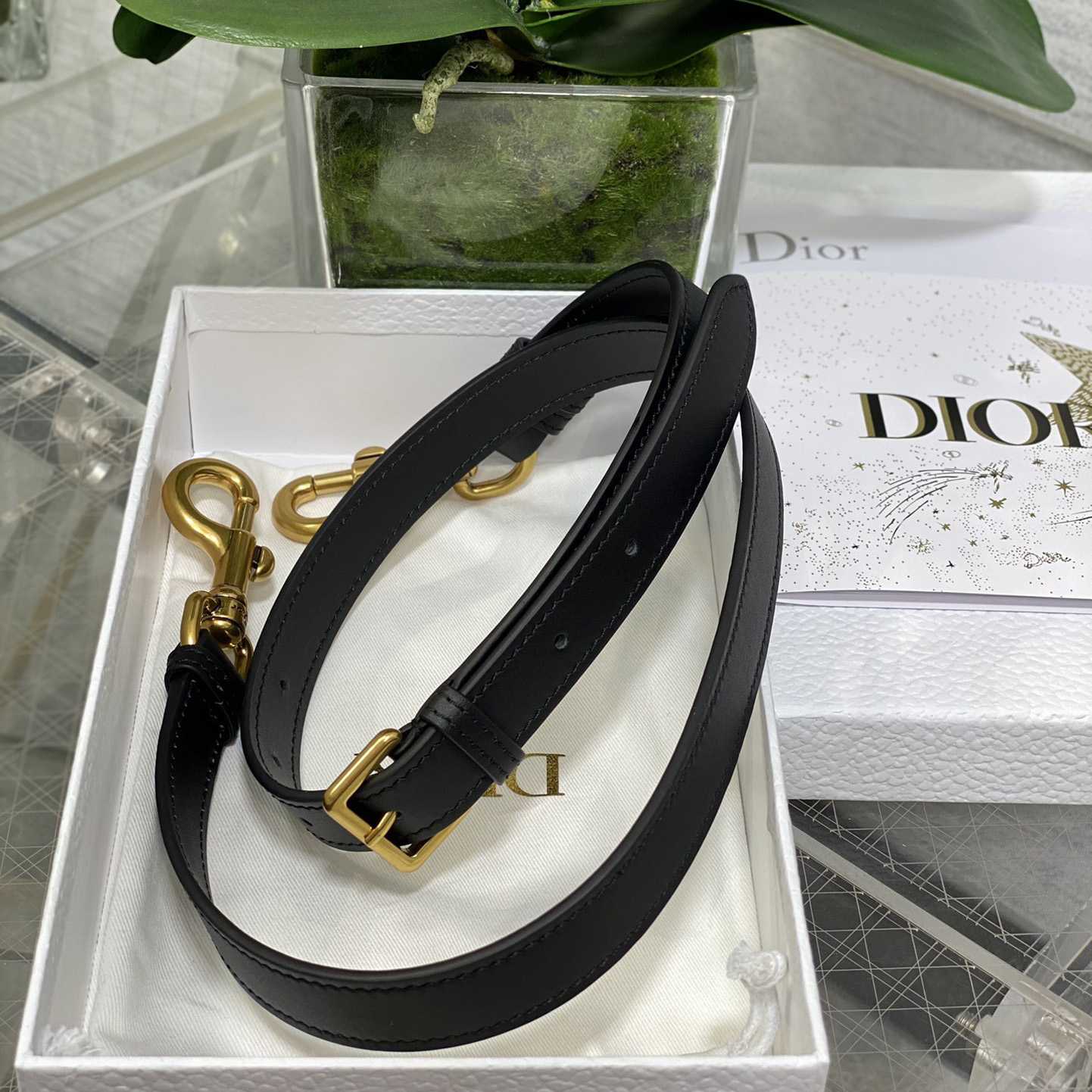 Dior Saddle Bag With Strap  (24×6×18cm) - DesignerGu