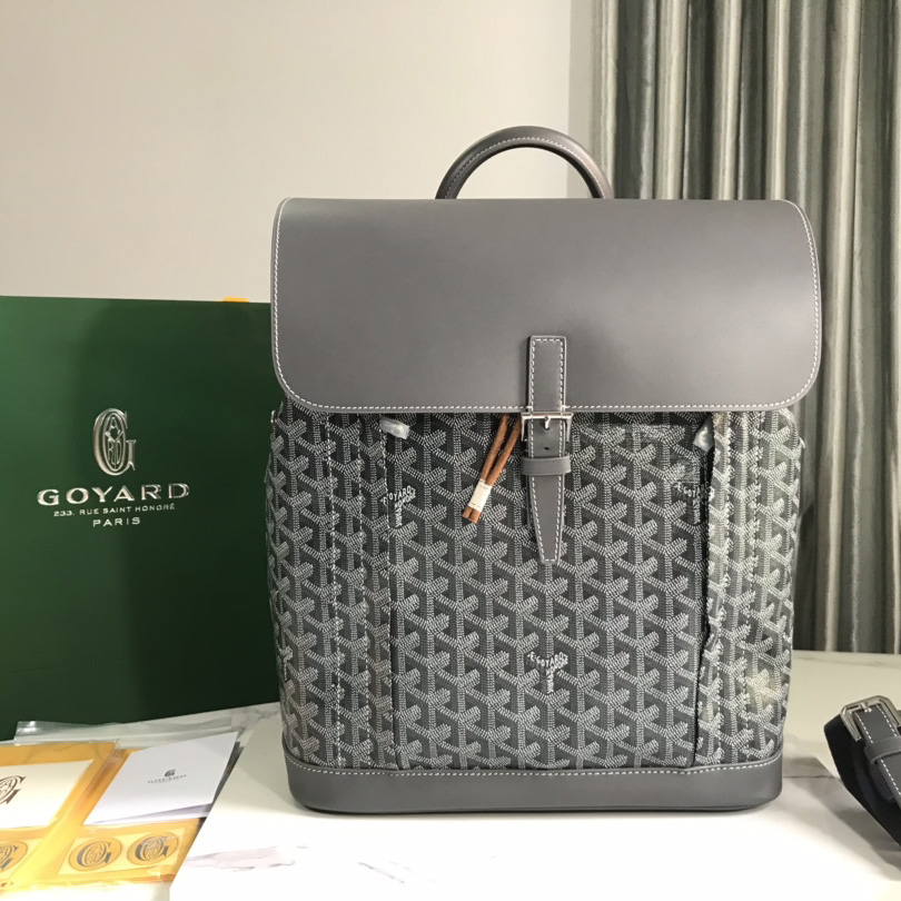 Goyard Alpin MM Backpack - DesignerGu