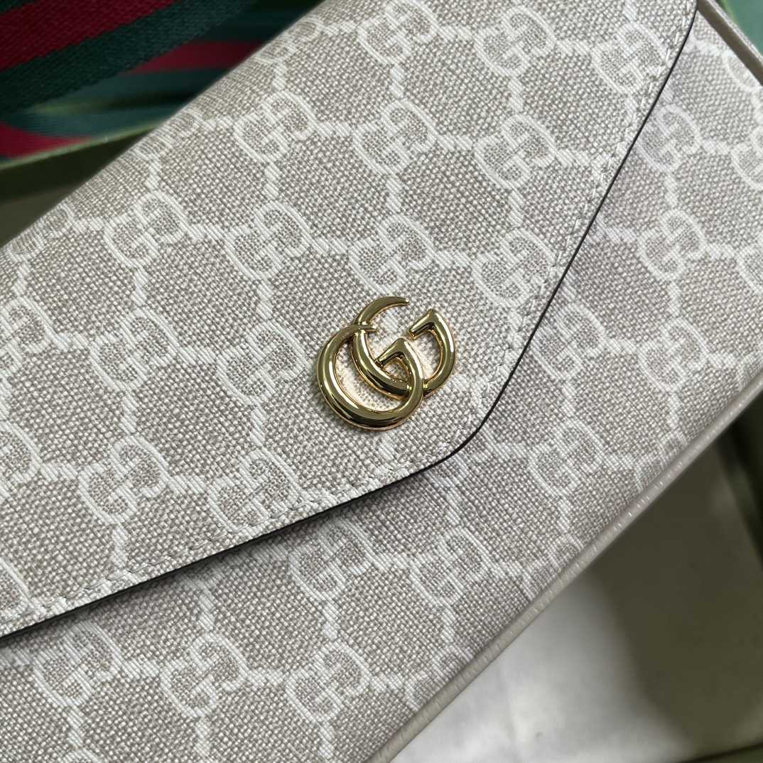 Gucci Ophidia Mini Bag  - DesignerGu