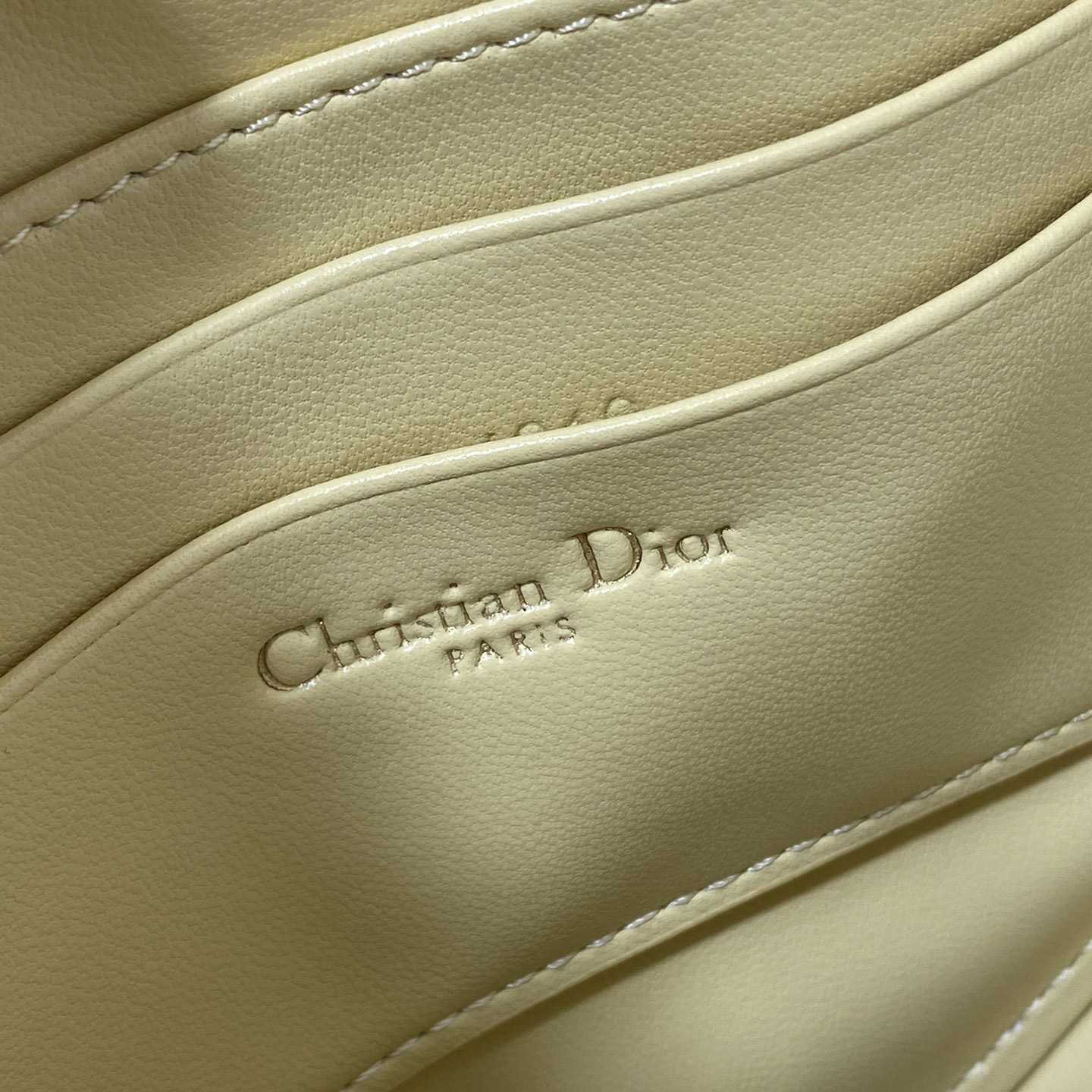 Dior Saddle Shoulder Pouch - DesignerGu