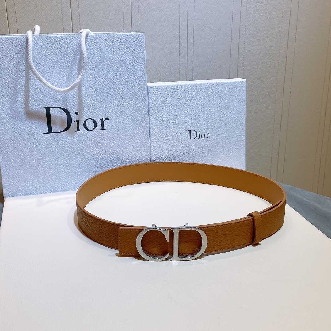 Dior Reversible Saddle Belt - DesignerGu