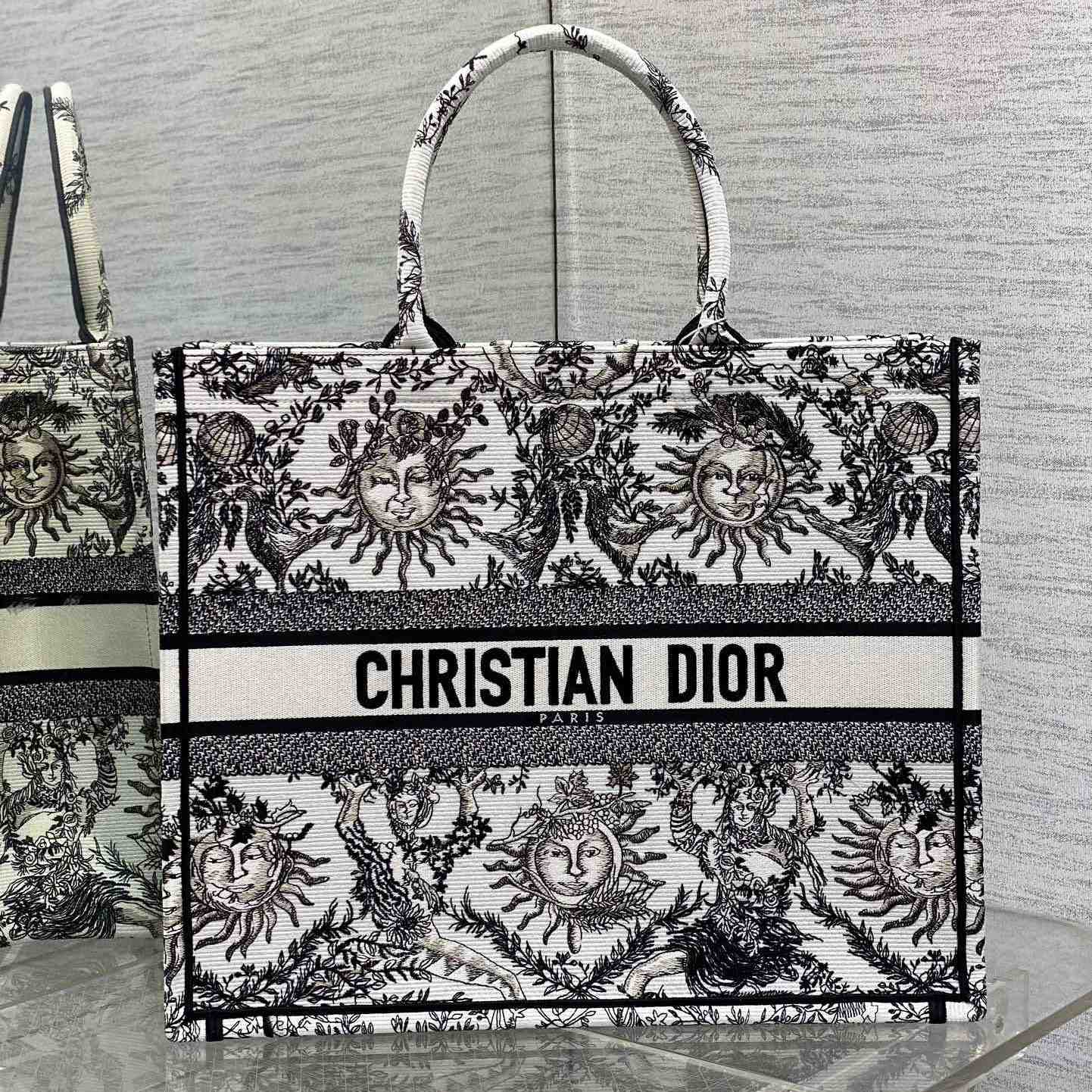 Dior Large Dior Book Tote - DesignerGu