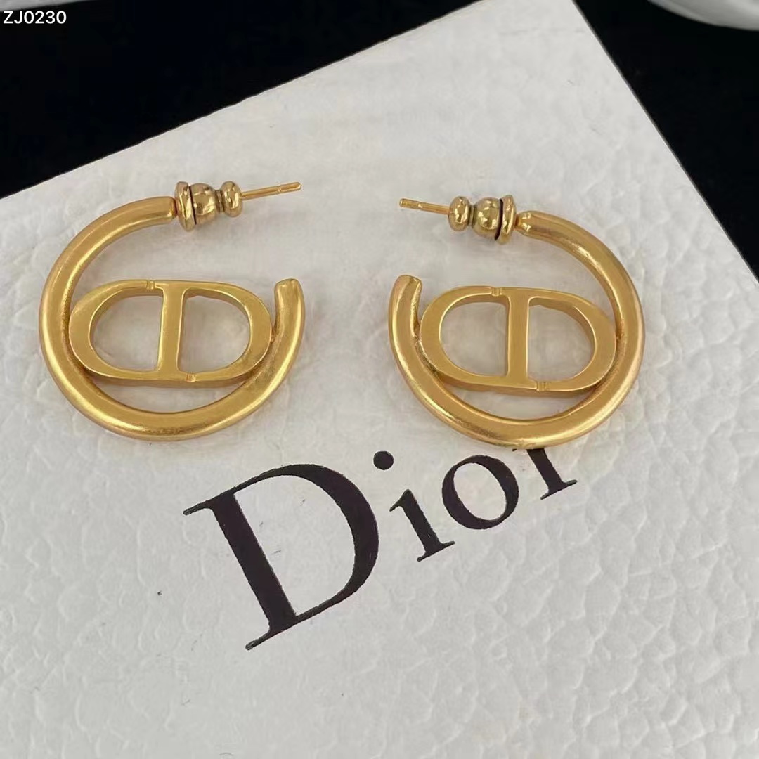 Dior Earring - DesignerGu