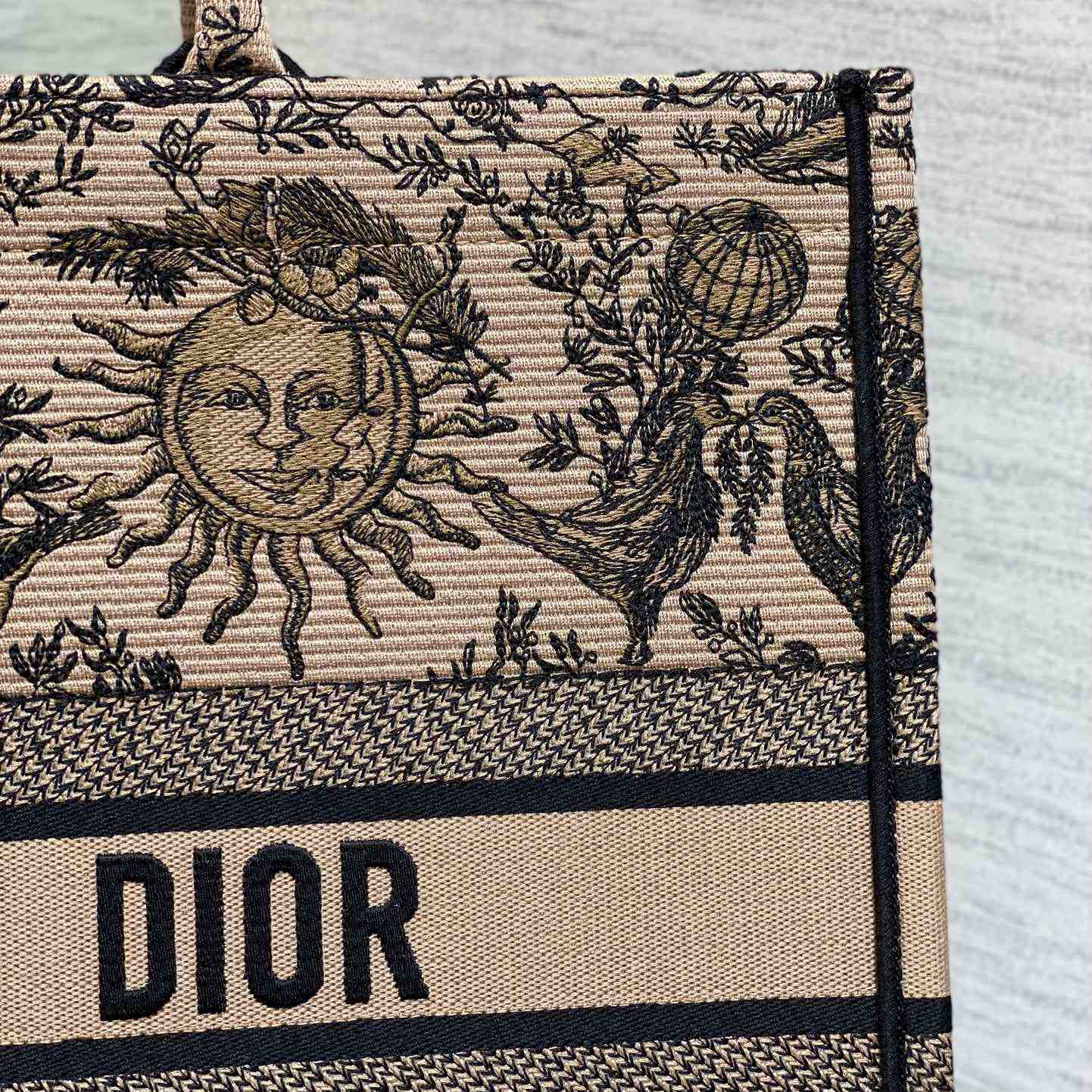 Dior Large Dior Book Tote - DesignerGu