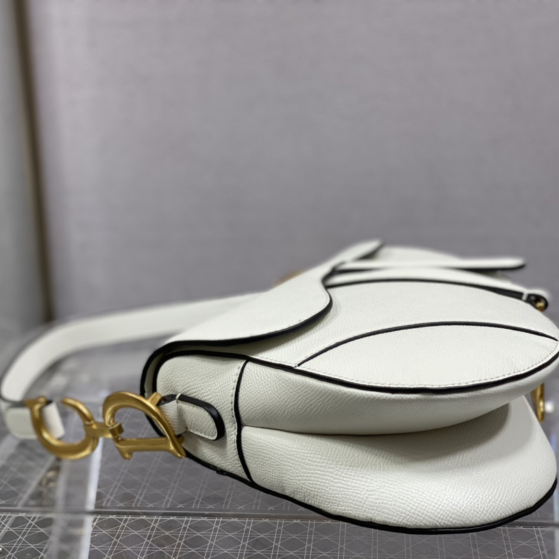 Dior Saddle Bag    25.5cm - DesignerGu