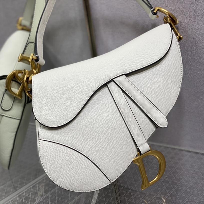 Dior Saddle Bag    25.5cm - DesignerGu