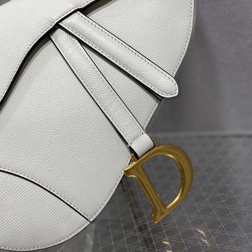 Dior Saddle Bag    25.5cm - DesignerGu