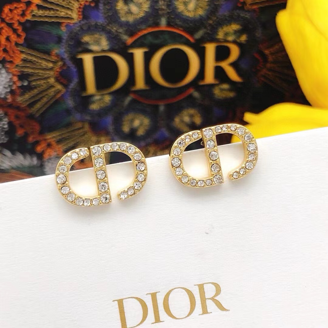 Dior Earrings - DesignerGu