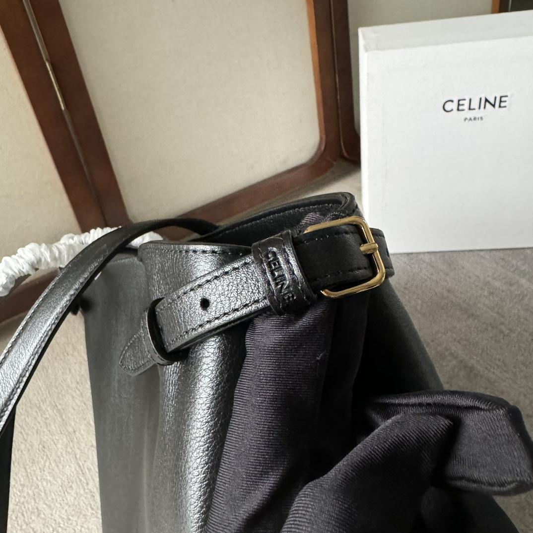 Celine Medium Cabas Anais Cuir Triomphe In Grained Calfskin - DesignerGu